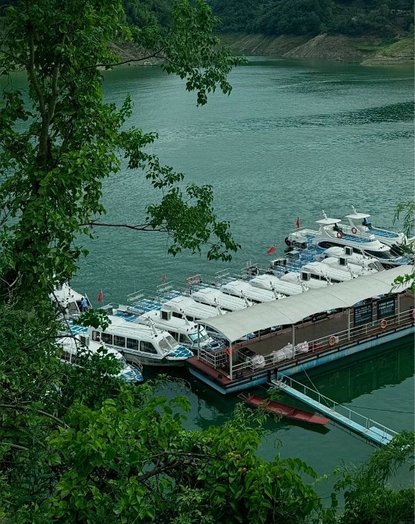 Photo of Yinghu Lake Scenic Area: serene lake Shaanxi