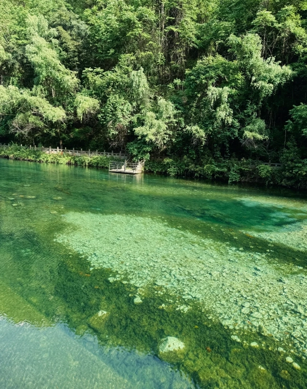 Photo of Jinsi Grand Canyon National Forest Park: Shaanxi hiking trails