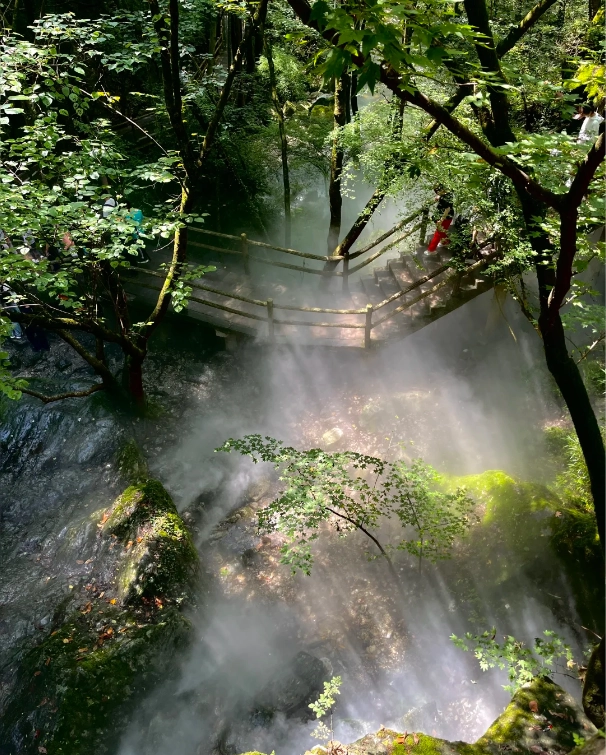 Niubeiliang National Forest Park: Hiking, Views & Practical Travel Guide