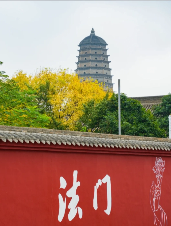 Travel photos of Baoji: Famen Temple Buddha relic