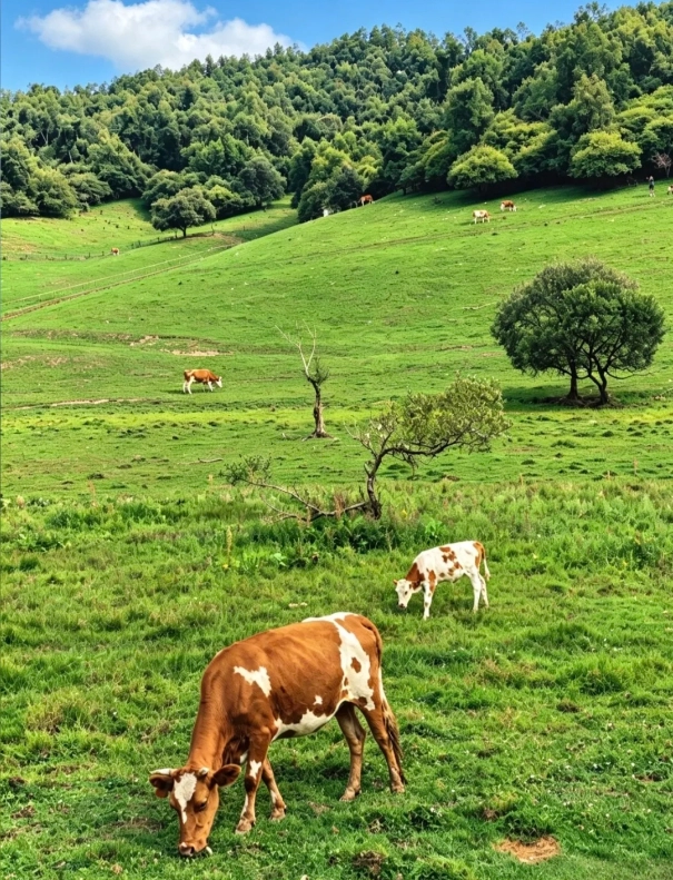 Photo of Guanshan Grassland: how to get to Guanshan Grassland