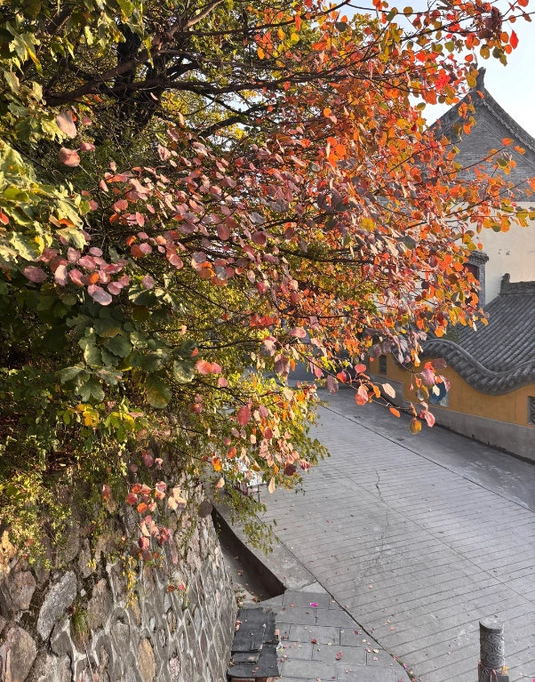 Zhaojin Xiangshan travel Zhaojin Xiangshan travel