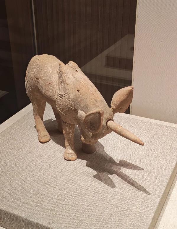 Photo of Shaanxi History Museum: Terracotta Army artifacts