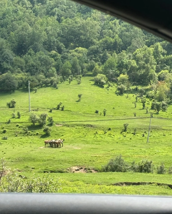 Photo of Guanshan Grassland: Guanshan Grassland travel