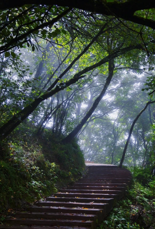 Shaanxi forest park souvenirs Shaanxi forest park souvenirs