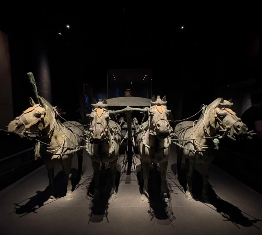 Photo of Shaanxi History Museum: Xi'an museum tickets