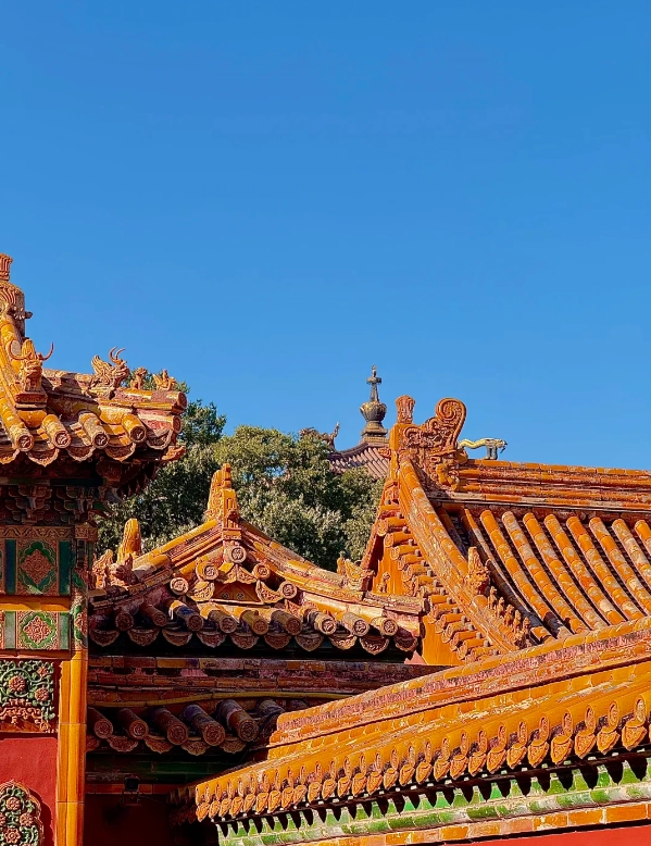 Travel photos of Beijing: Forbidden City tickets