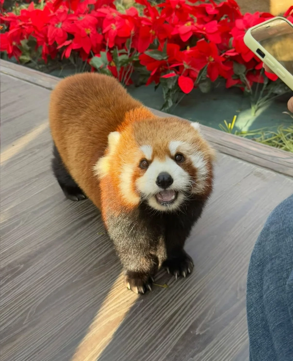 Photo of Beijing Wildlife Park: Beijing Wildlife Park tickets