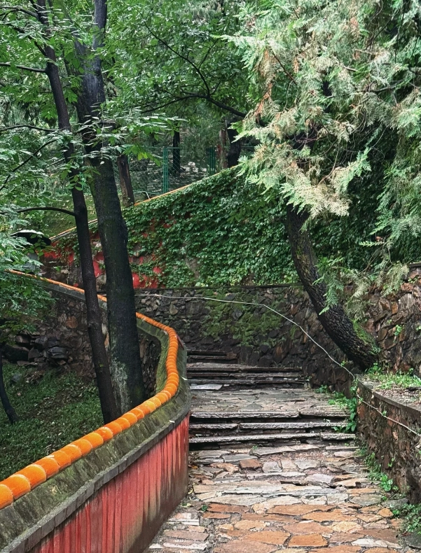 Photo of Tanzhe Temple: visit Tanzhe Park