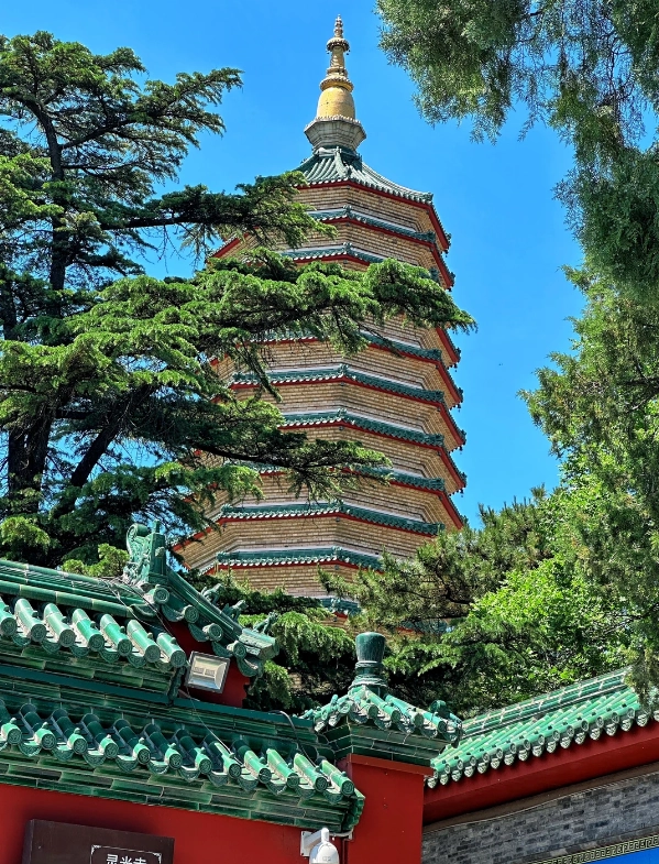 Photo of Badachu Park: Badachu cable car
