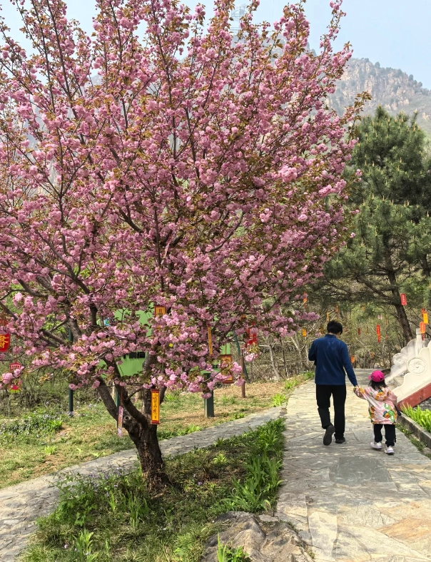 Photo of Shilinxia Scenic Area: Shilinxia travel guide