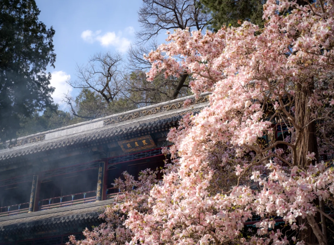 Photo of Tanzhe Temple: Tanzhe Ancient Park tickets
