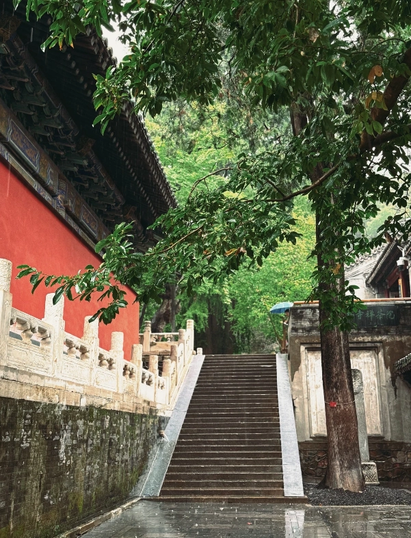 Photo of Tanzhe Temple: Tanzhe Ancient Park tickets