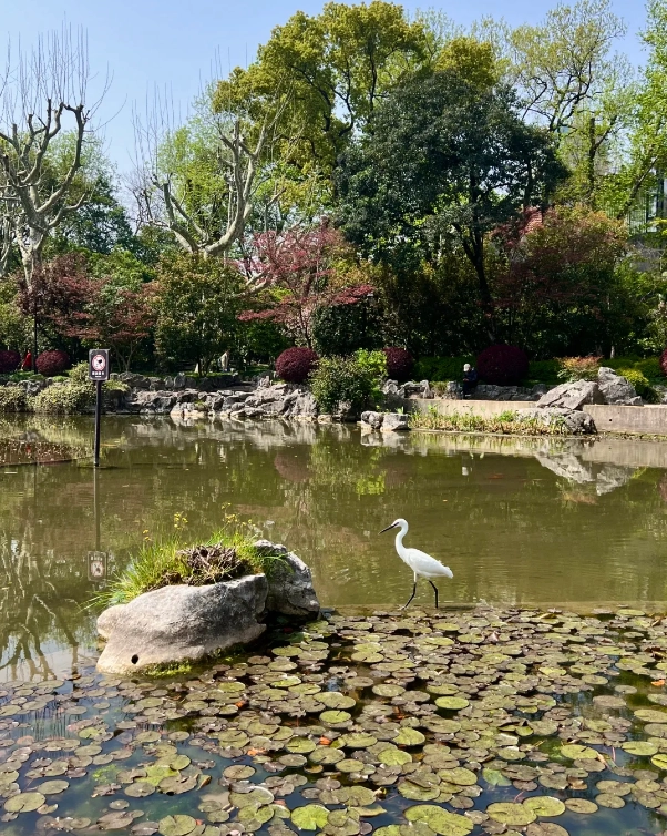 Photo of Fuxing Park: Fuxing Park opening hours