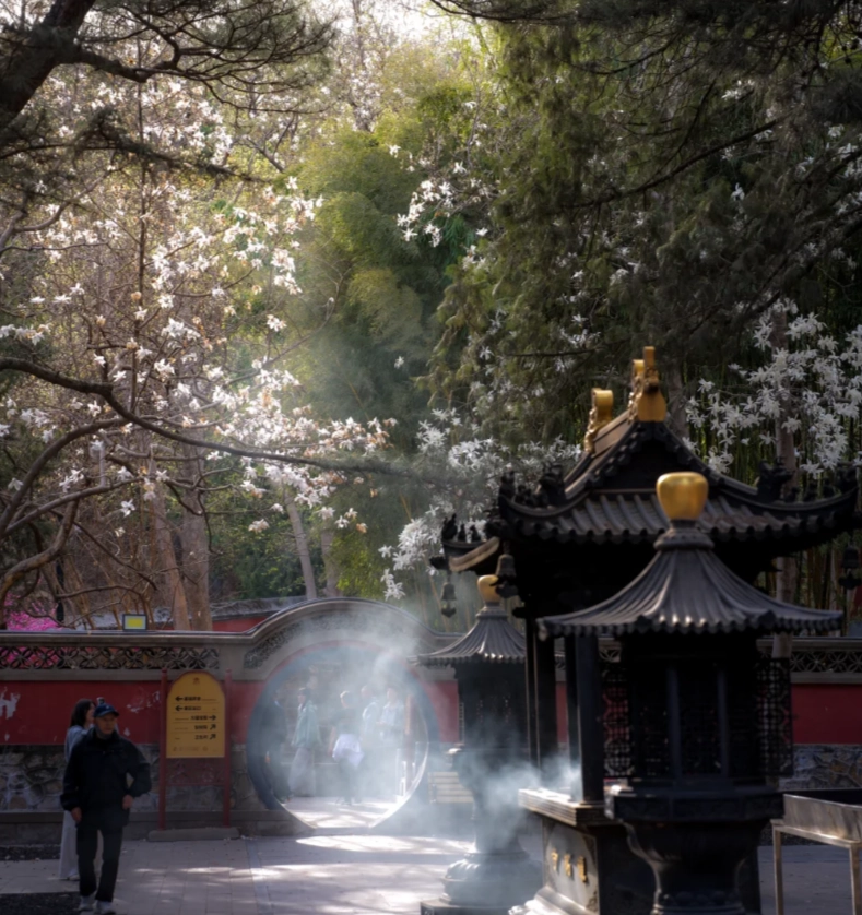 Photo of Tanzhe Temple: visit Tanzhe Park