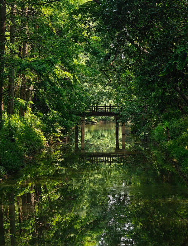 Photo of Dongping National Forest Park