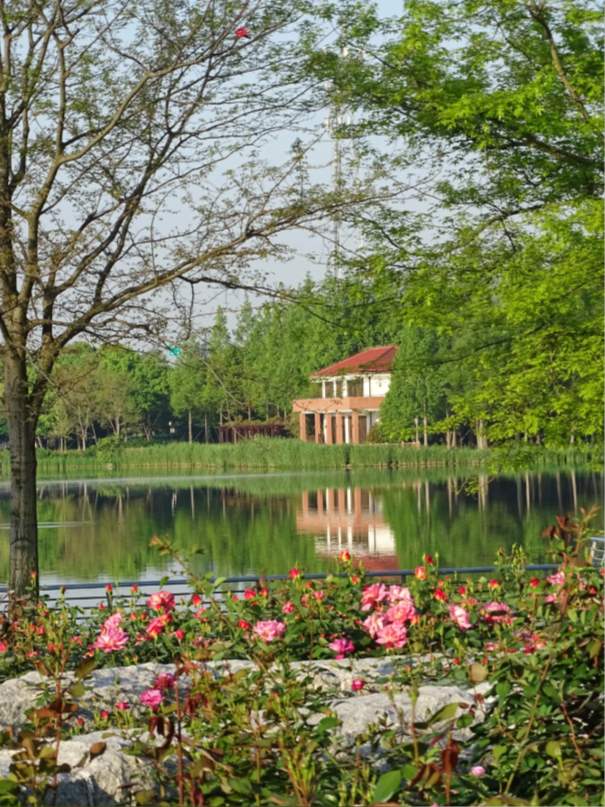 Photo of Gucun Park