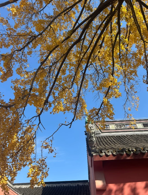 Zhujiajiao attractions