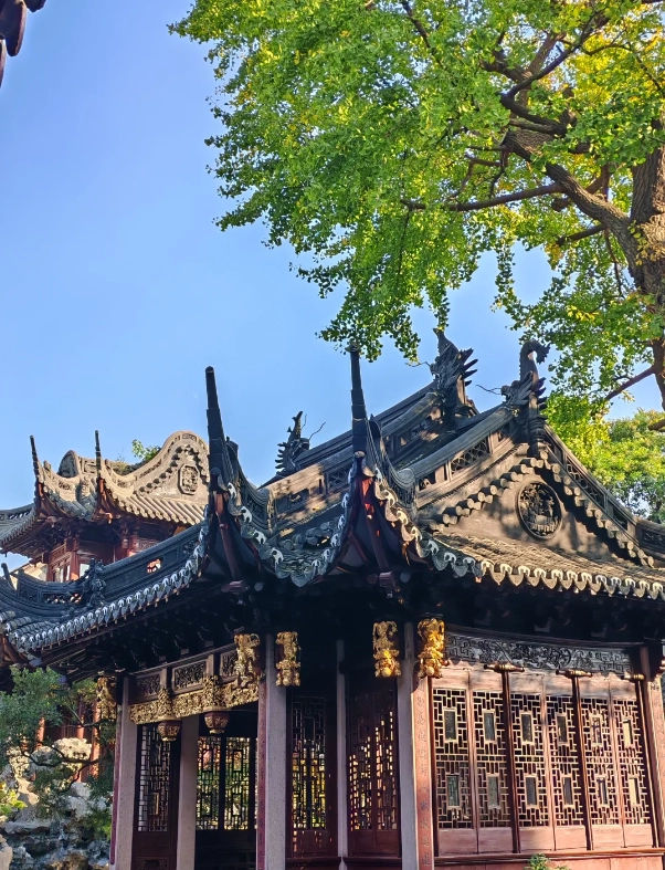 Photo of Yu Garden: Yu Garden travel tips