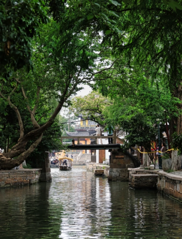 Zhujiajiao Water Town: A Visitor's Guide to Shanghai's Venice