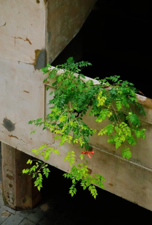 Photo of 1933 Old Millfun: creative space Shanghai