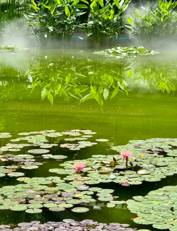 Photo of Jing'an Park: Jing'an Park map
