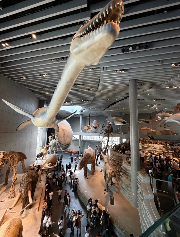 Photo of Shanghai Natural History Museum: family activities Shanghai
