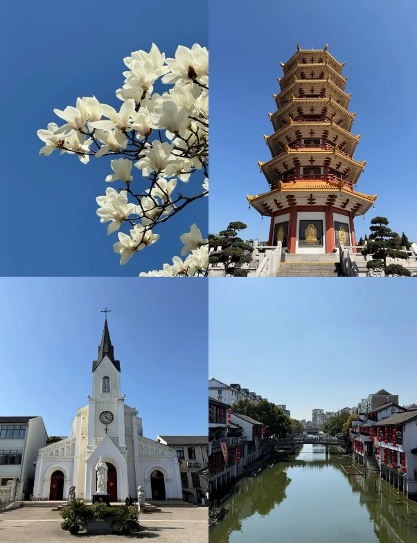Photo of Qibao Ancient Town: Qibao food
