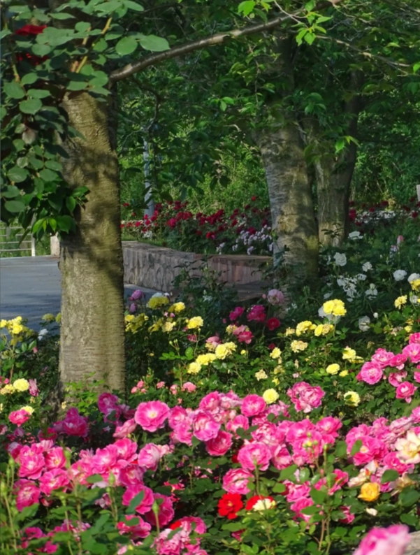 Photo of Gucun Park: Gucun Park tickets