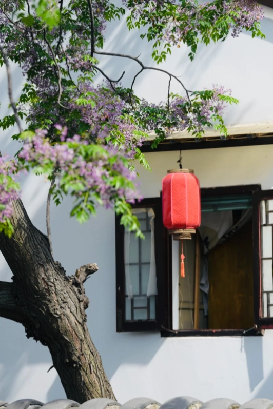 Photo of Qibao Ancient Town: Shanghai water town