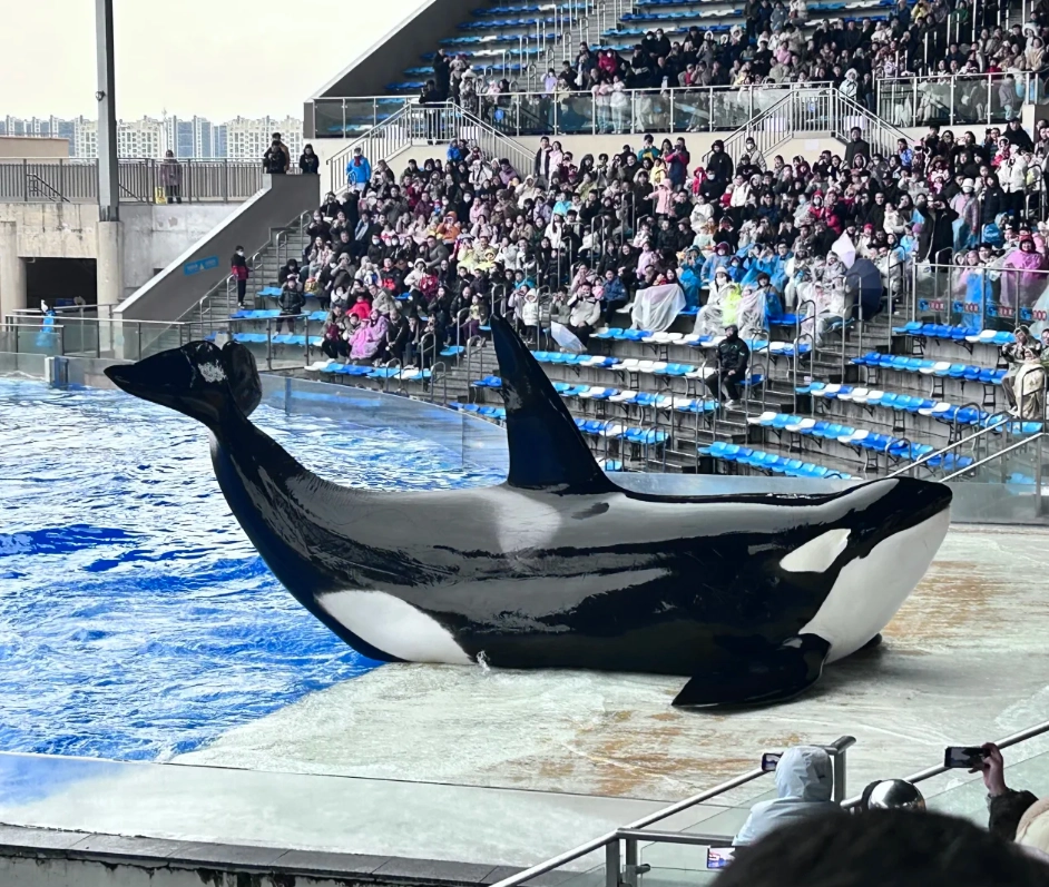 Haichang Ocean Park admission price