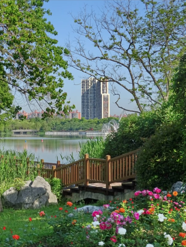 Photo of Gucun Park: Gucun Park cherry blossoms