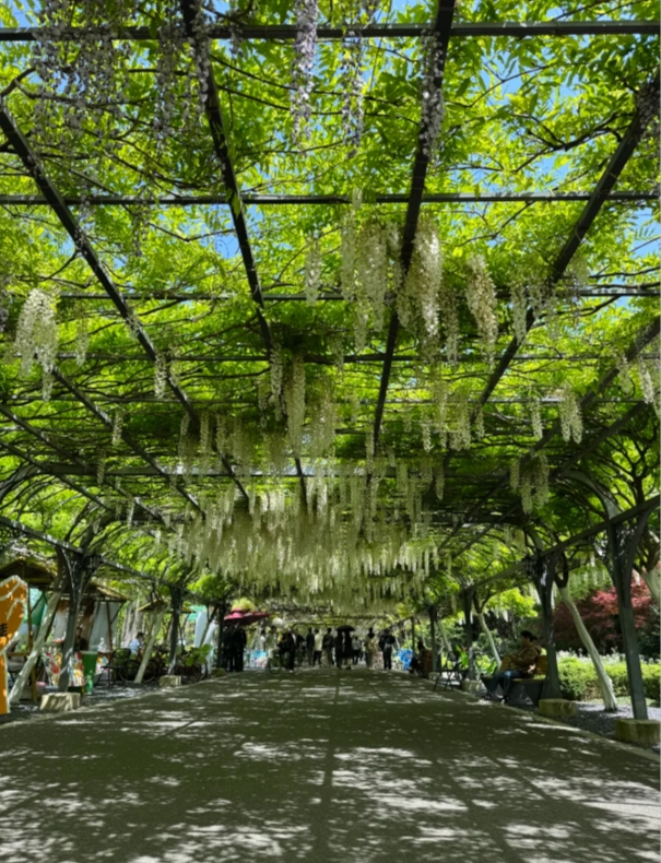 Photo of Dongping National Forest Park: Shanghai nature escape