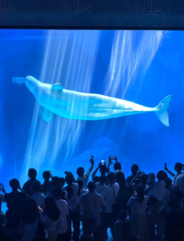Haichang Ocean Park admission price