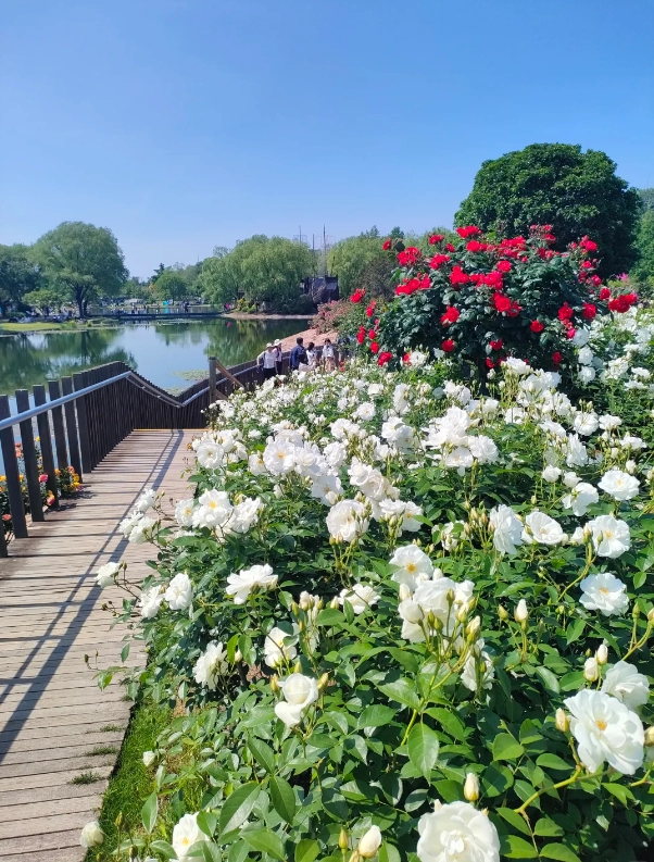 Shanghai day trip