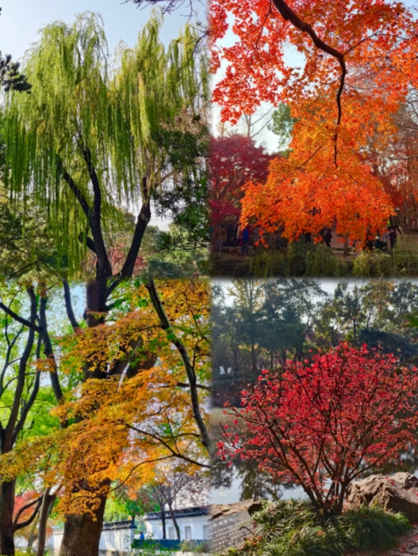 Photo of Qiuxiapu Garden: how to get to Qiuxiapu Garden