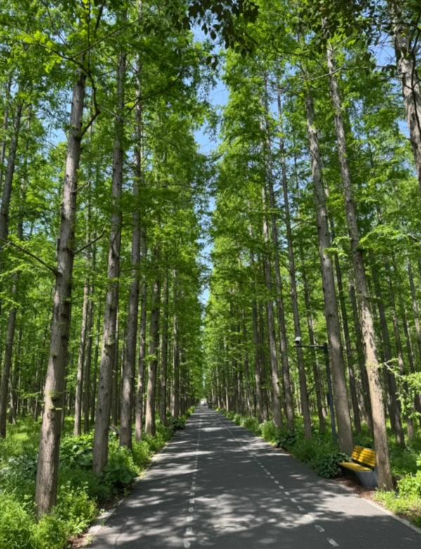 Photo of Dongping National Forest Park: Shanghai forest park