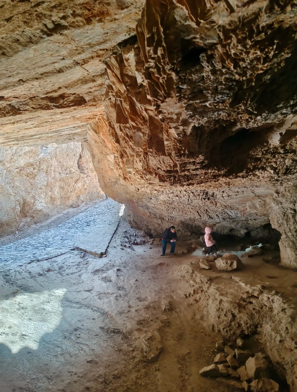 homo erectus fossils