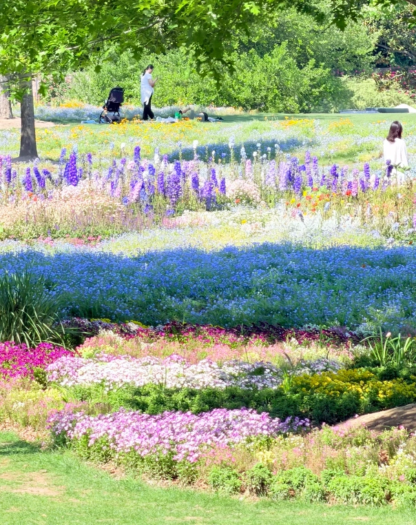 Shanghai botanical garden