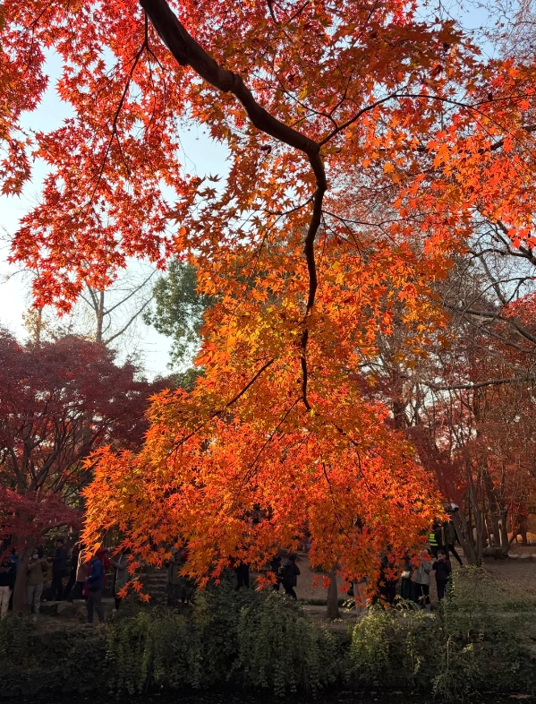 Photo of Qiuxiapu Garden: garden ticket price