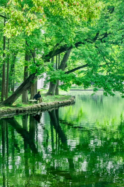 Photo of Gongqing Forest Park: Shanghai picnic spots