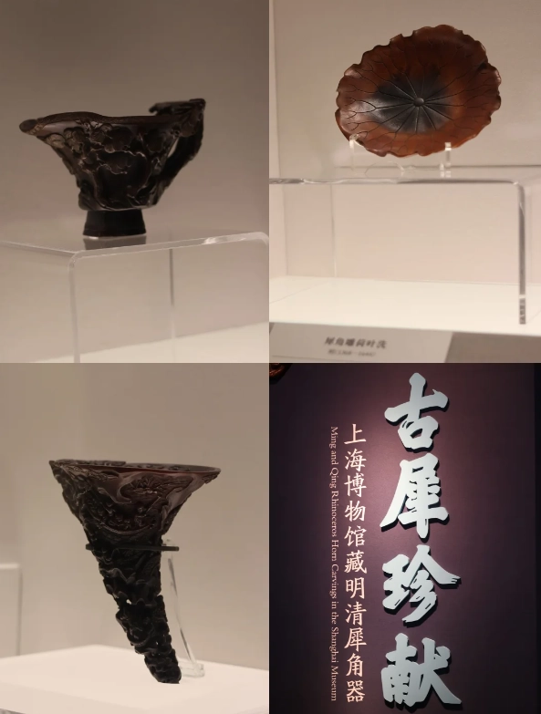 Photo of Shanghai Museum: what to see in Shanghai Museum