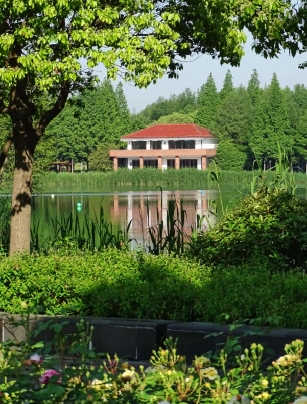 Photo of Gucun Park: Gucun Park Shanghai