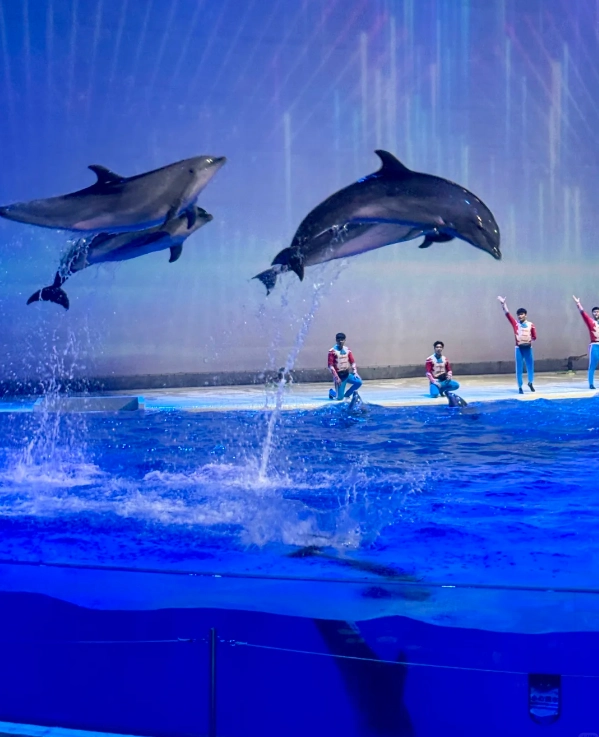 Polar Ocean Park Polar Ocean Park