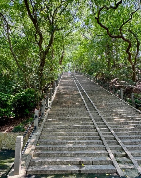 Photo of Sheshan National Forest Park: Shanghai forest park