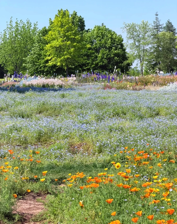 best gardens in China