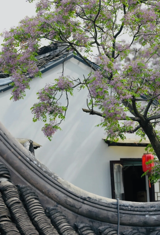 Photo of Qibao Ancient Town: Qibao travel guide