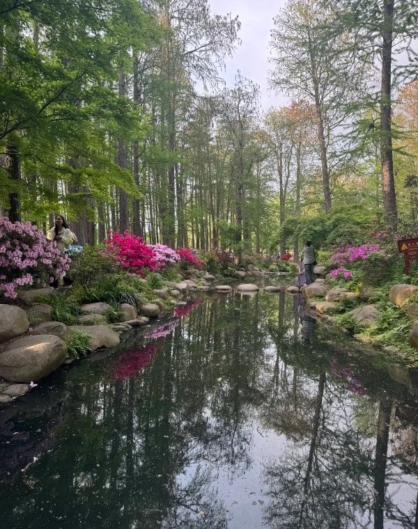 Photo of Gongqing Forest Park: Shanghai Gongqing Forest Park