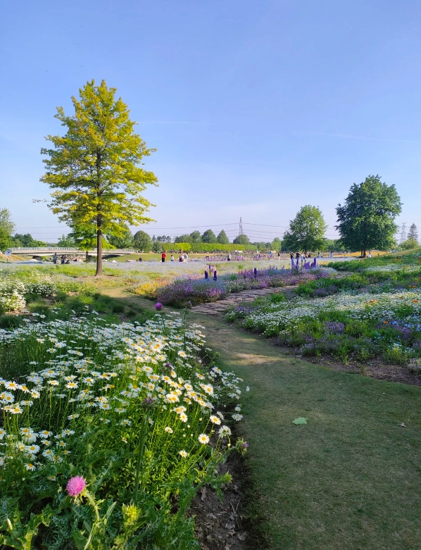 best gardens in China