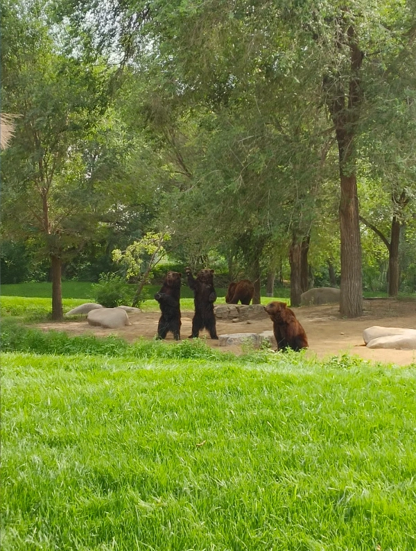 Photo of Beijing Wildlife Park: Beijing Wildlife Park self-drive tour